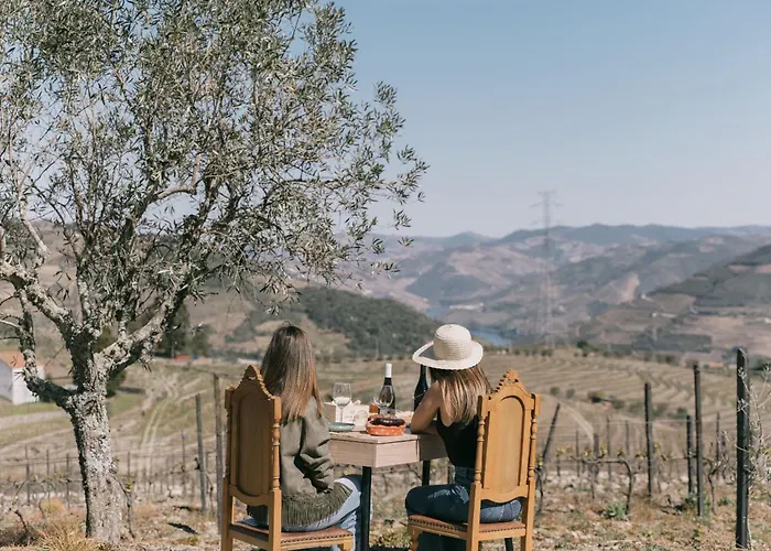 Villa Feel Discovery Quinta Do Muro Douro Valley Peso da Régua