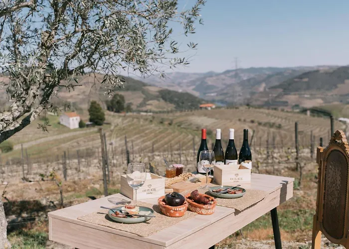 Villa Feel Discovery Quinta Do Muro Douro Valley *
